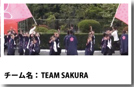 よさこい衣装 TEAM-SAKURA