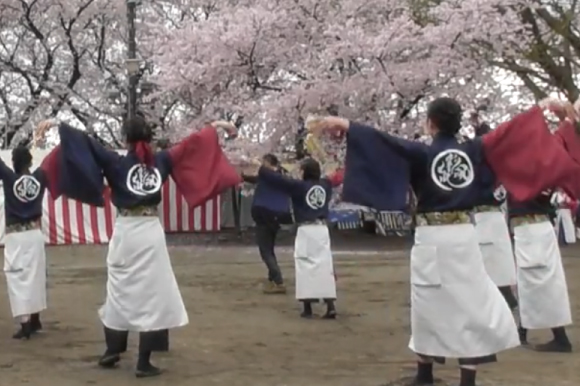 よさこい衣装 2016彩嵐風2