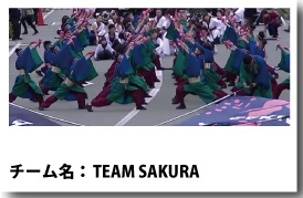 TEAM SAKURA連