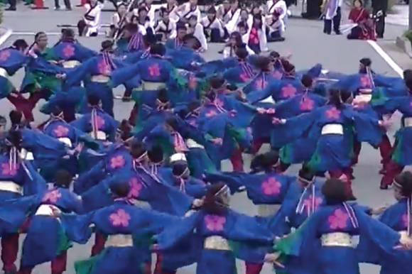 よさこい衣装 2016TEAM SAKURA2
