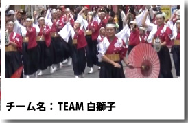 TEAM白獅子連