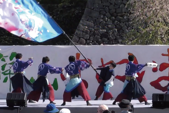 よさこい衣装 2016京学よさこい蓮　遙華後姿