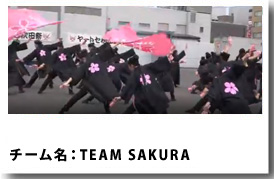 TEAM SAKURA