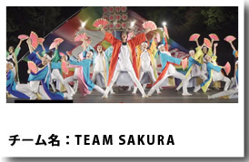 よさこい衣装 TEAM SAKURA