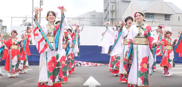 よさこい衣装 2019松山よさこい風舞人1